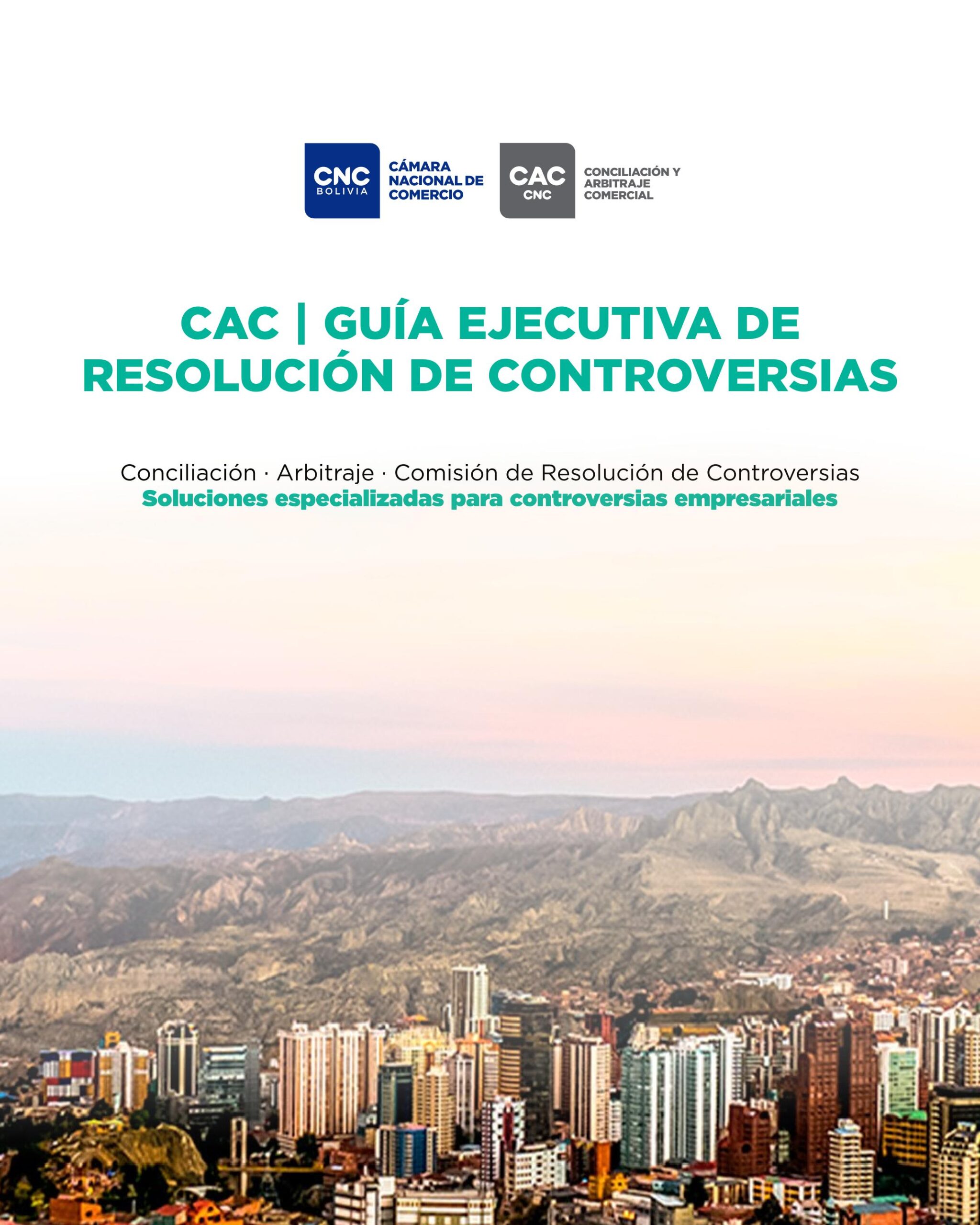 Lee más sobre el artículo GUÍA EJECUTIVA DE LA RESOLUCIÓN DE CONTROVERSIAS (español)